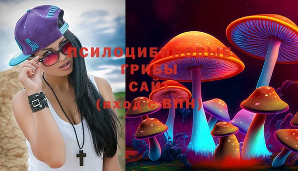 ешки Аркадак