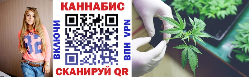 Бошки марихуана планчик Сорочинск